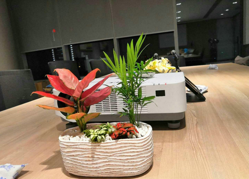 庭院植物搭配的基本原則